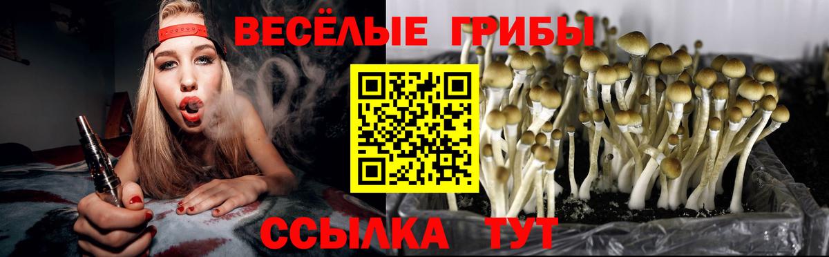 Зерноград  Псилоцибиновые грибы Magic Shrooms  Псилоцибиновые грибы Cubensis  Вход с VPN 